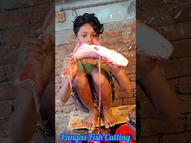 Wonderful Giant Pangas Fish Cutting Techniques | Skinless Fish Cutting