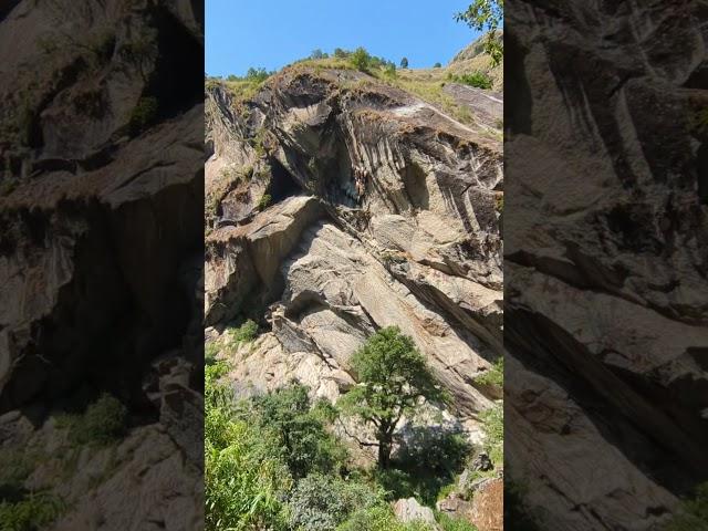 Bhir mauri in Langtang national park || Mad honey bee hives in Nepal || Trekking in Nepal || #travel