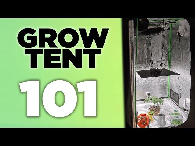 How to Setup a Indoor Grow Tent - COMPLETE GUIDE