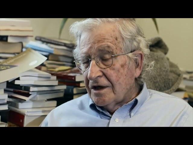 Noam Chomsky's views on Climate Change and Externalities