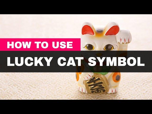 How to Use the Lucky Cat Symbol in Feng Shui