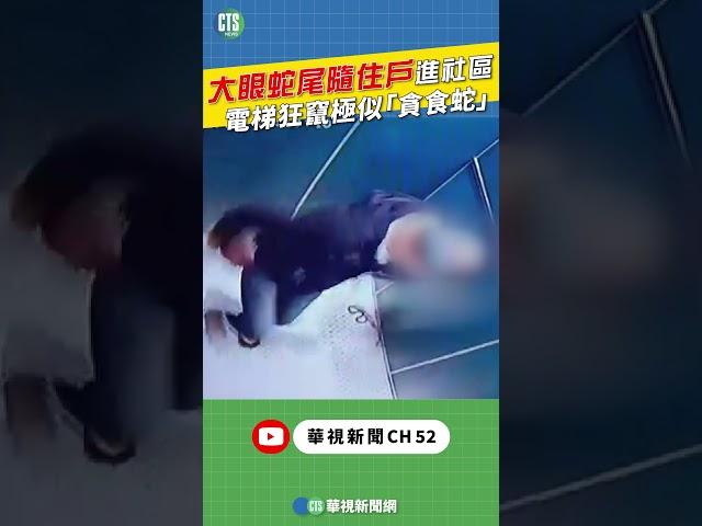 「大眼蛇」尾隨住戶進社區  電梯狂竄極似「貪食蛇」｜小編推新聞20250612 #shorts