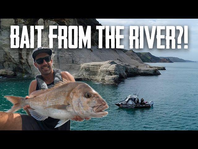 Using STRANGE BAIT to catch BIG FISH - Season 6 EP3 Raglan