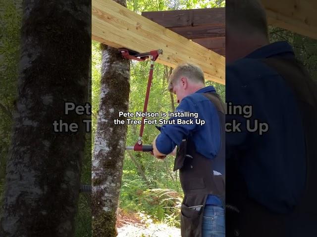 Install a Tree Fort Strut Back Up with Pete Nelson