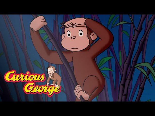 George at the Zoo! Curious George Compilation Kids Movies Videos for Kids