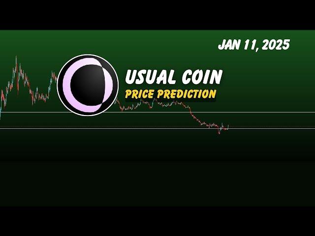 Usual coin price prediction | Usual crypto pump back ?  crypto signals Jan 11, 2025