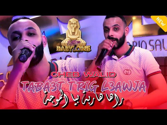 Cheb Walid 2024 | Teba3t Trig L3awja-راها هاربة بيا الموجة | FT Zaki Maestro ( Clip Officiel )