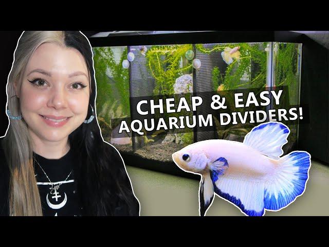 DIY Aquarium Divider