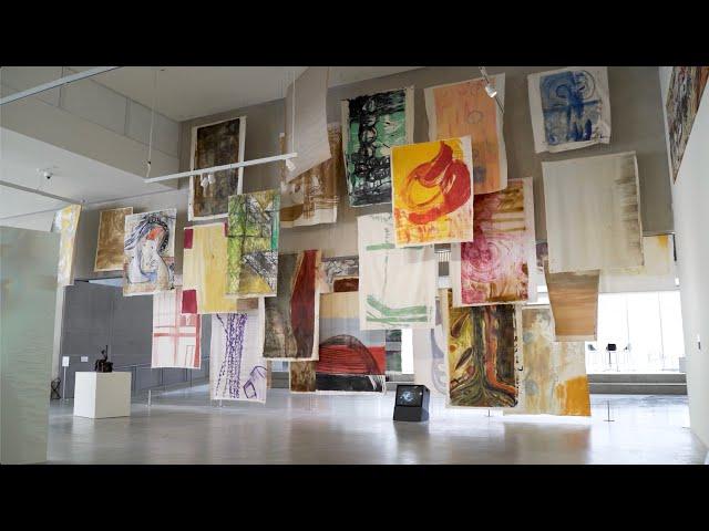Contemporary Art Museum St. Louis Spring Exhibitions