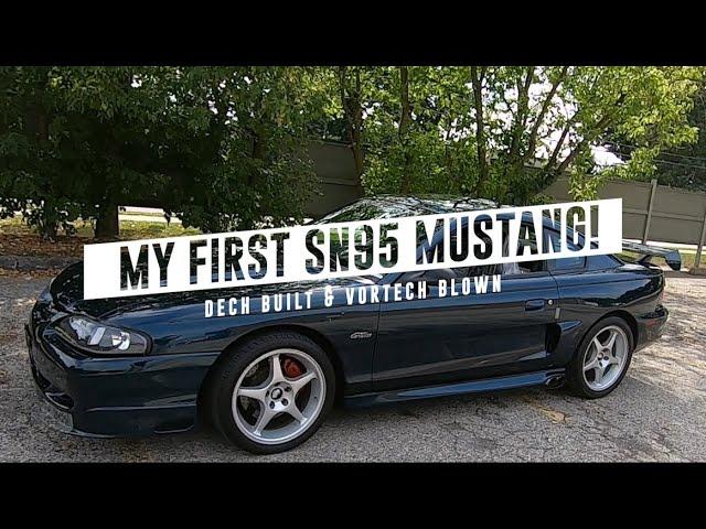 My First SN95 Mustang! DECH Motorsport & Vortech Blown - TIPS03E30