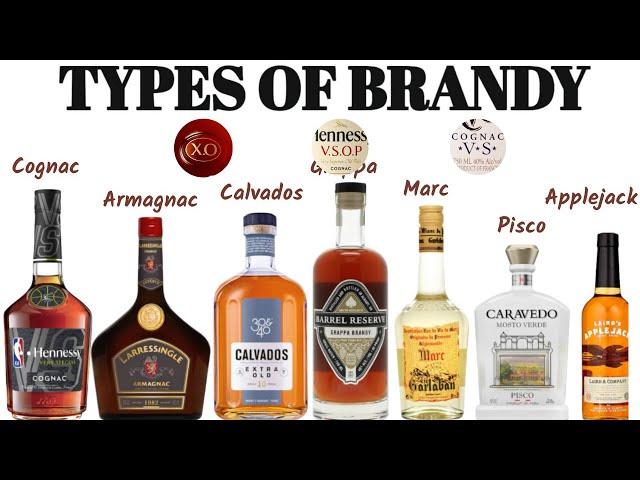 Different Types of Brandy I Cognac I Armagnac I Calvados I Pisco I Grappa I XO Brandy I VSOP Brandy