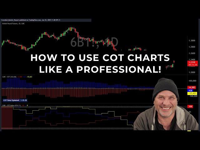 Commitment of Traders Data: How a Professional Trader Uses the Report