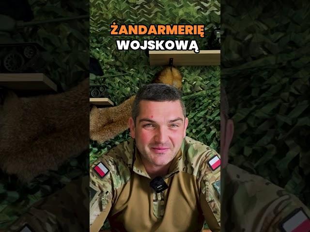 Czy Któreś z Państw Unii Europejskiej Lub NATO Zaoferowało Pomoc Polsce ? Kto Broni Naszej Granicy?