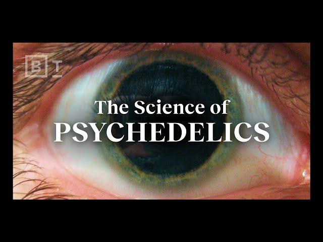 How psychedelics work, explained in under 6 minutes | Matthew Johnson