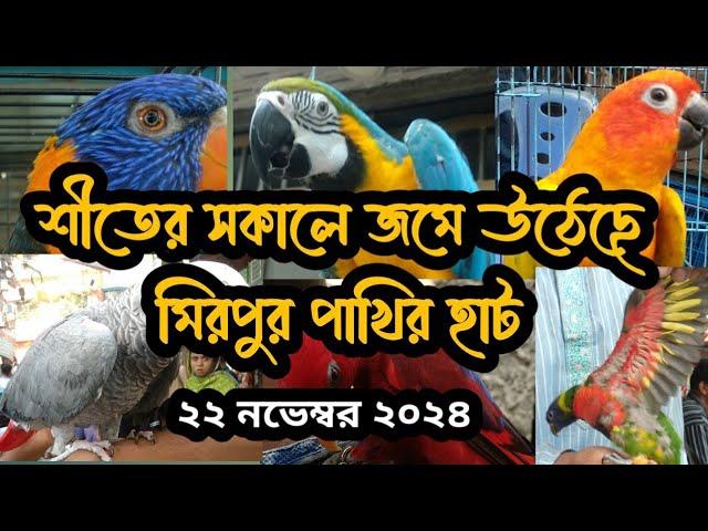 শীতের সকালে জমে উঠেছে  মিরপুর পাখির হাট।।  Mirpur pakhir heart