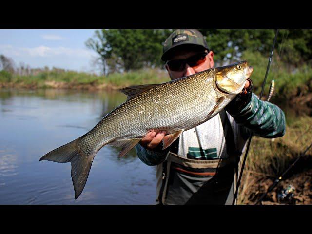 ВОЛКЕРИ!!! -  СЕКРЕТНА ПРОВОДКА - Select Flash. Топ-Вотери, ЖЕРЕХ, ГОЛОВЕНЬ, ЩУКА.