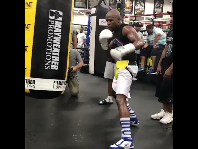 THAT SNAP!Mayweather Perfecting His Jab