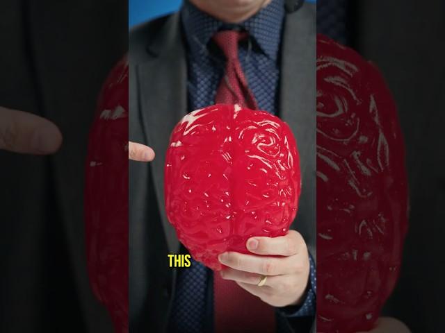 Break This Gummy Brain For $$$$