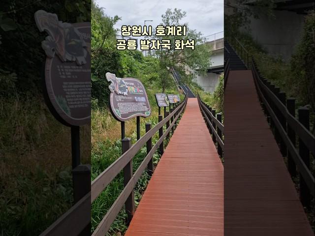 경남 창원시 호계리 공룡발자국 화석  #공룡#공룡발자국#공룡화석#shorts