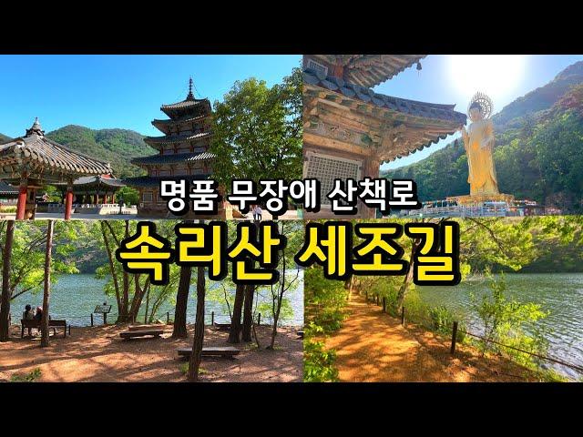 6월 여행지추천 무장애여행 보은 속리산 세조길