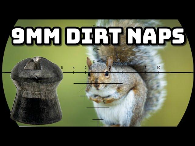 City Squirrels, Country Skills: Urban Hunting with EDgun Leshiy