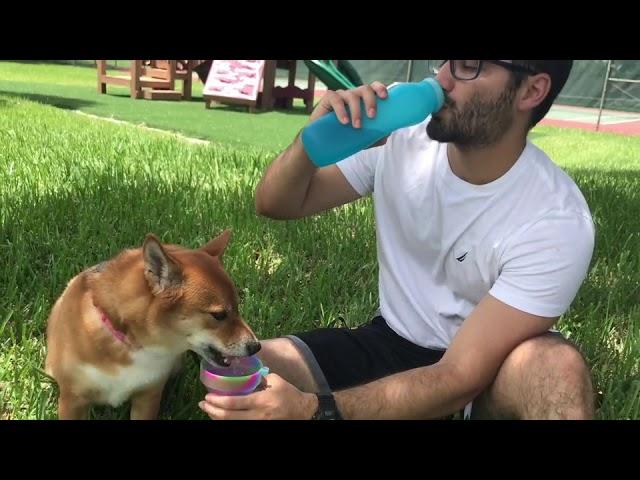 Bubi Bottle: BPA Free Silicone Multi-Use Water Bottle