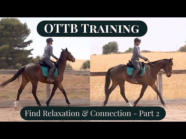 Teaching Your OTTB To Stretch Under Saddle