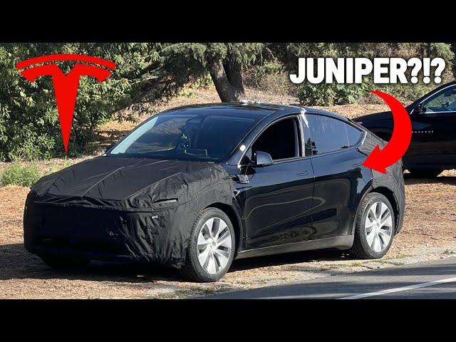 TESLA MODEL Y JUNIPER?!? 