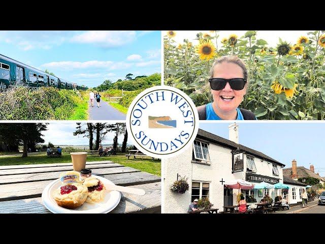 EXMOUTH to TOPSHAM Walk | Exe Estuary Trail | Devon