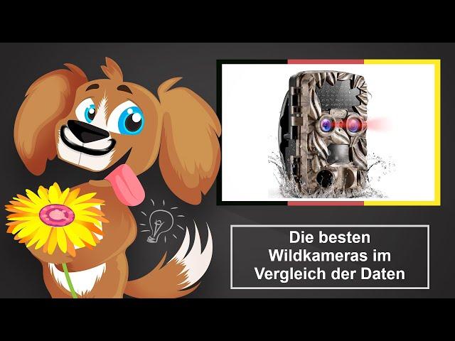  Die besten Wildkameras im Vergleich - Welches ist die beste Wildkamera?