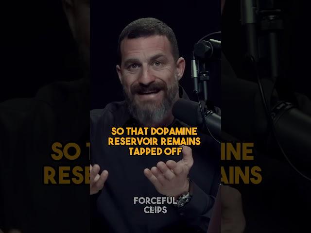 3 WAYS to replenish DOPAMINE | Andrew Huberman #shorts