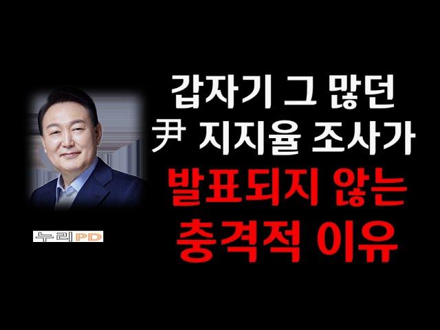 이럴 수가/ 비상계엄 이후 윤석열 대통령 지지율 조사가 뚝 끊긴 이유/