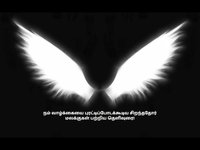 மலக்குல் மௌத் இஸ்ராயீல் அலைஹிஸ்ஸலாம் பற்றிய நம் வாழ்க்கையை புரட்டிப்போடக்கூடிய சிறந்ததோர் தெளிவுரை!