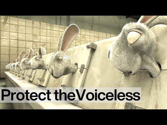 Bright Eyes: End Cosmetics Testing on Animals NOW