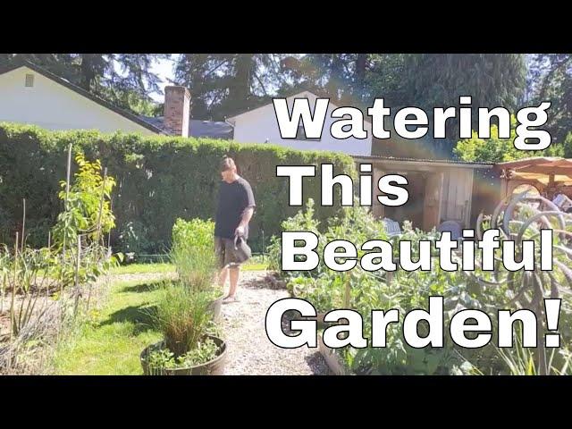 How I Water the Garden in Portland, Oregon