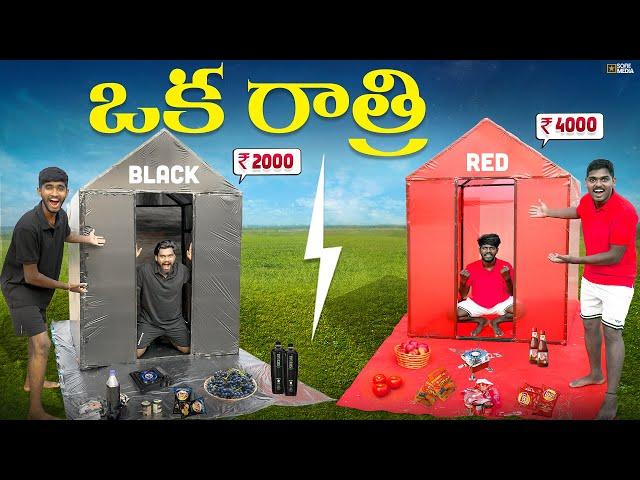 Living in Black And Red Houses Overnight Survival Challenge  Telugu Experiments