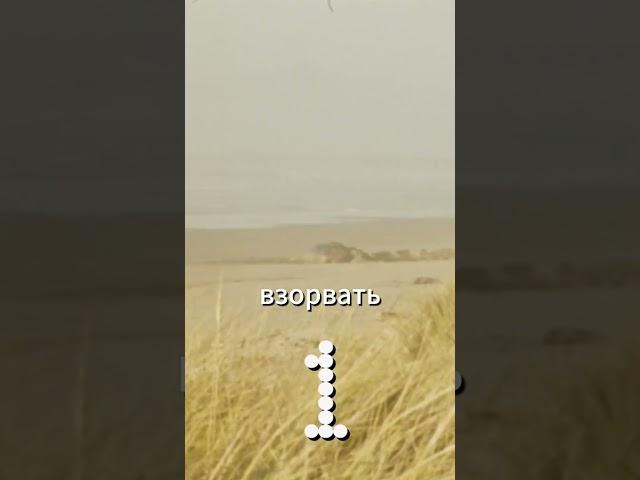Когда кит взорвался — реальный случай из 1835 года!