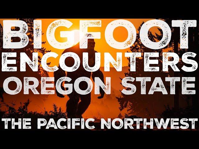 MY BROTHER RAN INTO A BIGFOOT CREATURE IN THE PACIFIC NORTHWEST (OREGON STATE) WE ALL SAW IT!!!