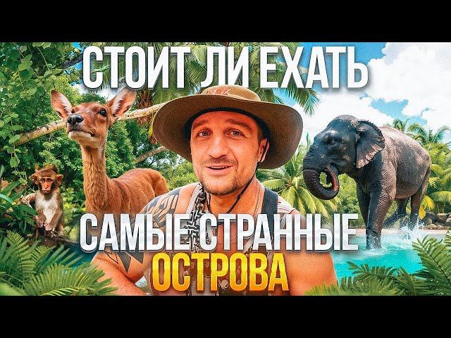 ОСТРОВ ОБЕЗЬЯН: СТОИТ ЛИ ЕХАТЬ? СКАЗОЧНЫЙ ОСТРОВ ОРХИДЕЙ. СЕВЕРНЫЕ ОСТРОВА В НЯЧАНГЕ, ВЬЕТНАМ.