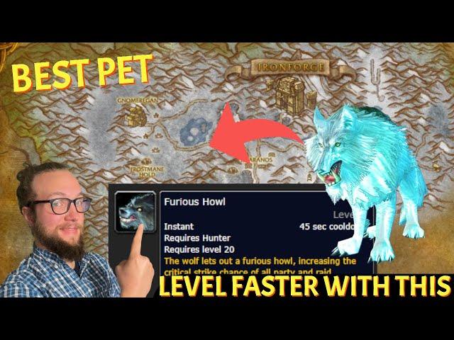 BEST PET and SPEC! Level FAST in Cataclysm | World of Warcraft Cataclysm Prepatch