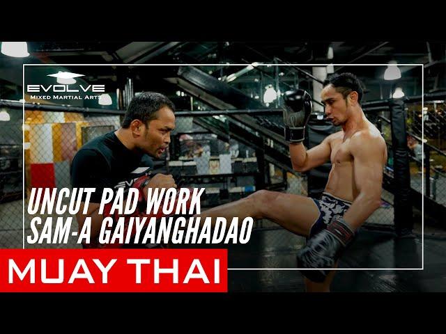 Uncut Muay Thai Pad Work | Sam-A Gaiyanghadao