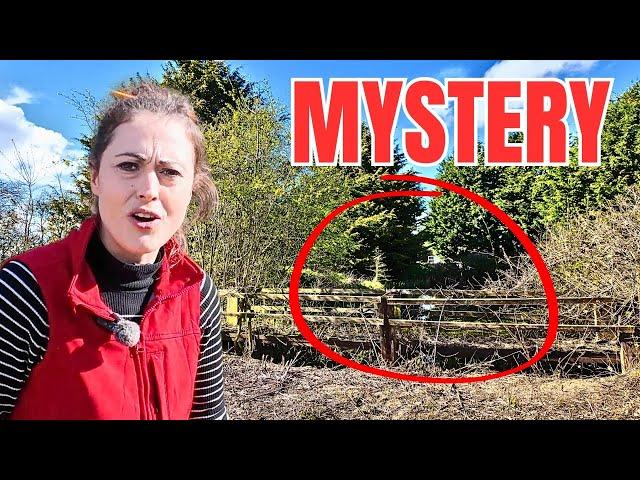 We discovered a lost bridge on the farm, but it's NOT WHAT WE THOUGHT!