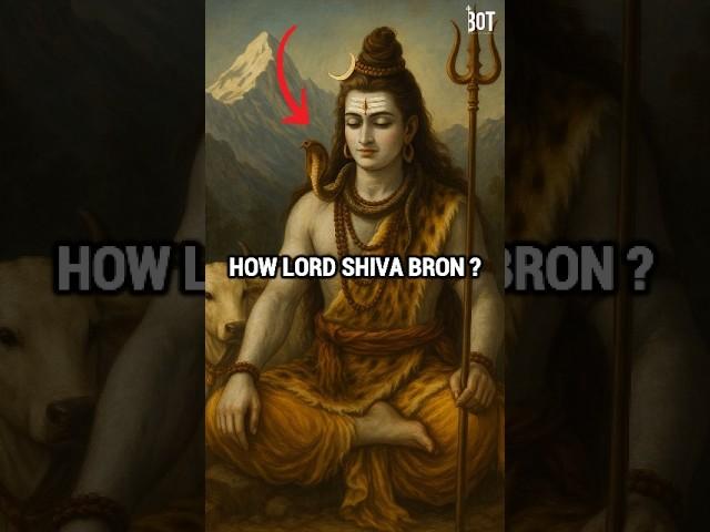 How Was Lord Shiva Born? The Untold Story from the Shiva Purana