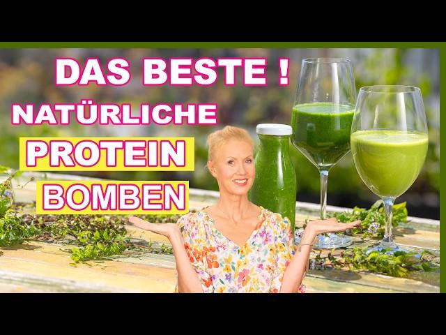 Besser als jede Medizin️2 mega Proteinbomben  Fett verlieren & Muskeln aufbauen mit Hanf & Eisen