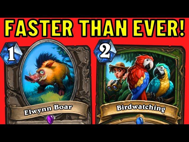 Using Hunter Cards in Priest is OVERPOWERED! Chillin' Vol'jin Elwynn Boar Combo!