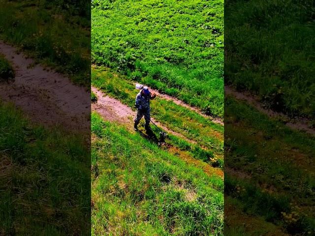 Золотой Скиталец. В поисках клада. Старинные места