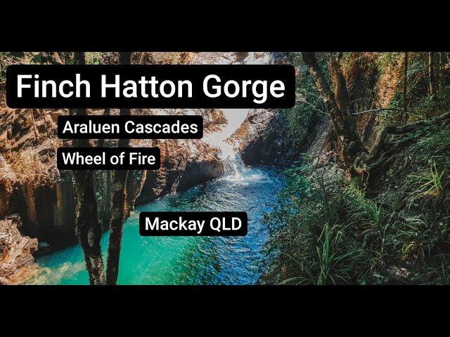 FINCH HATTON GORGE | Qld Road Trip EP02 | Araluen Cascades & Wheel of Fire | Mackay Queensland Aust