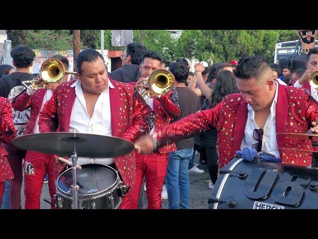 EL TORO MAMBO EL VENADO BANDA LA TRAKATERA 2023