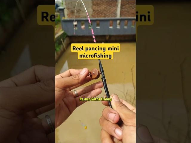 DIY Reel Microfishing