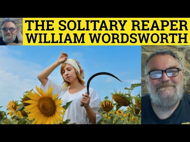 The Solitary Reaper Poem William Wordsworth Summary Analysis The Solitary Reaper William Wordsworth